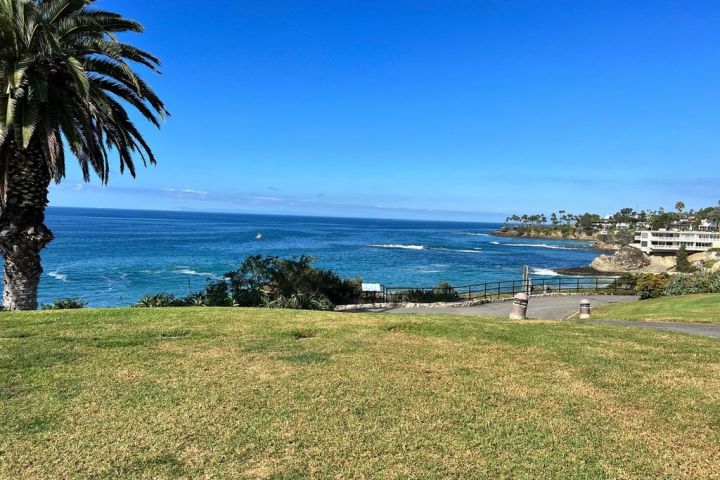 a group of palm trees next to a body of water