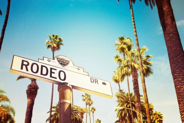 a street sign next to a palm tree
