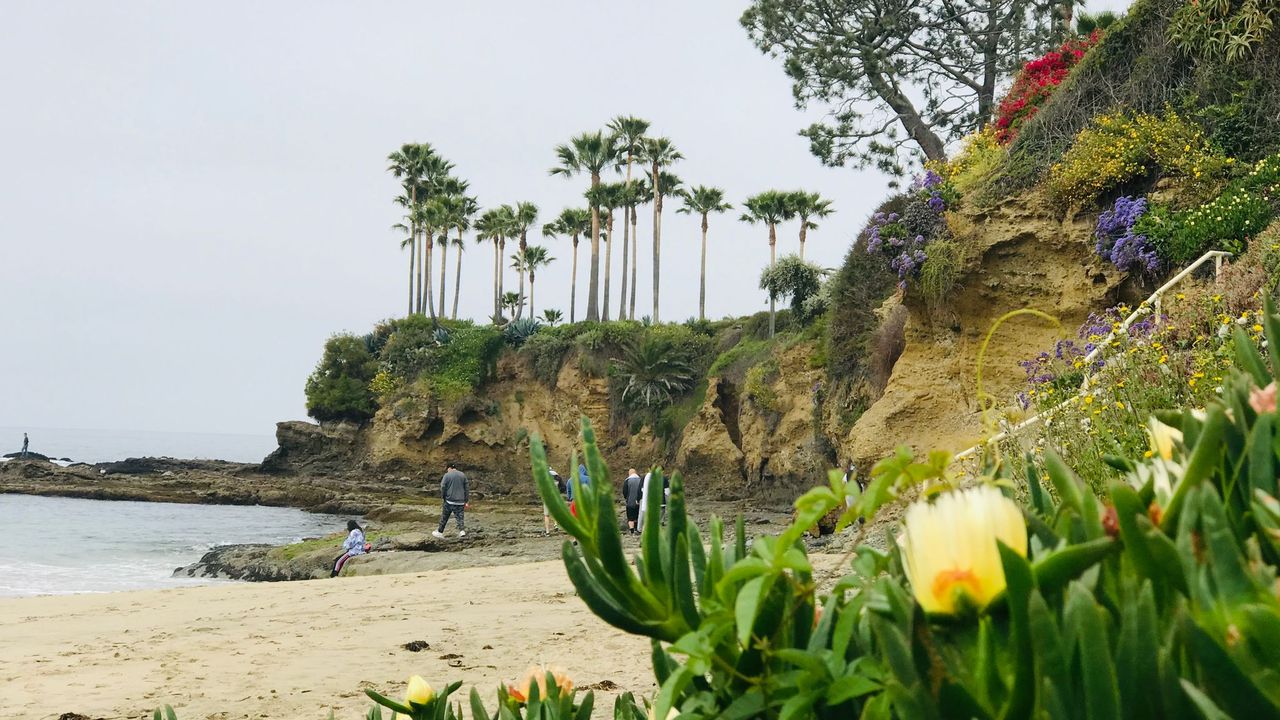 The OC Beach Bus Tour | Anaheim Tour Company