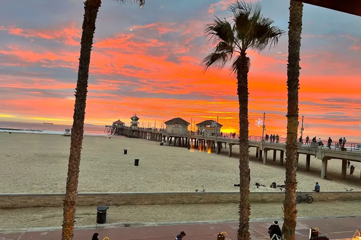 a group of palm trees next to a body of water